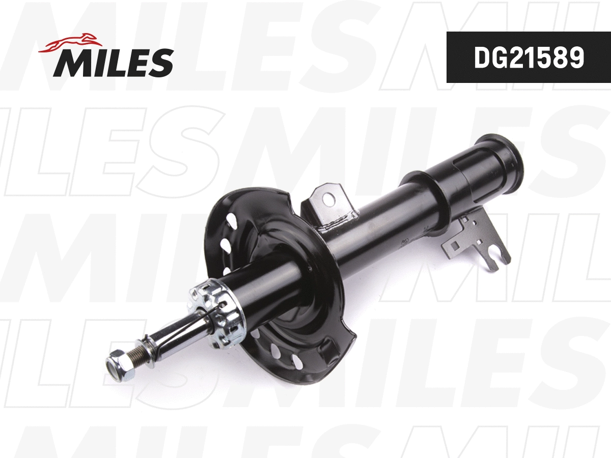Shock Absorber (DG21589)