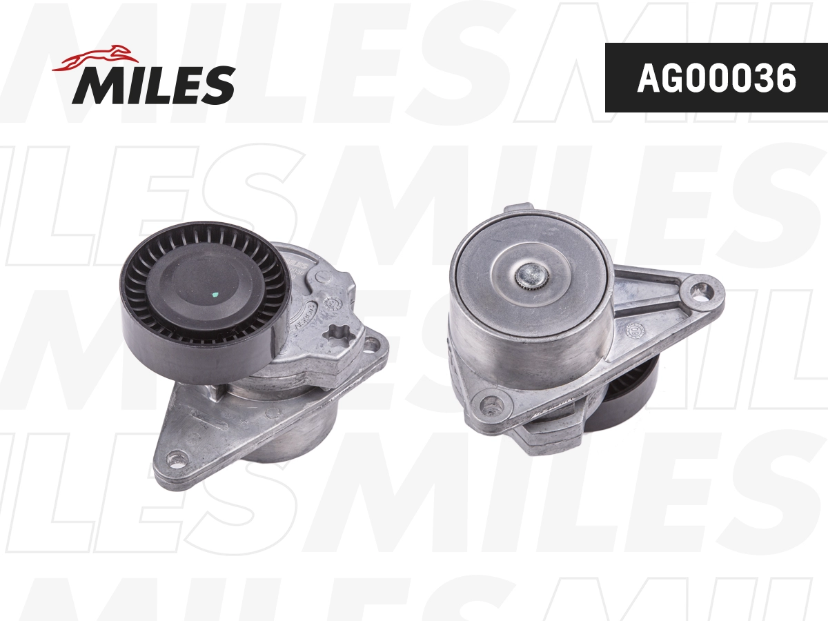 Tensioner Lever, V-ribbed belt (AG00036)