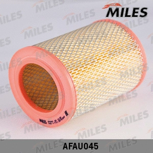 Air Filter (AFAU045)