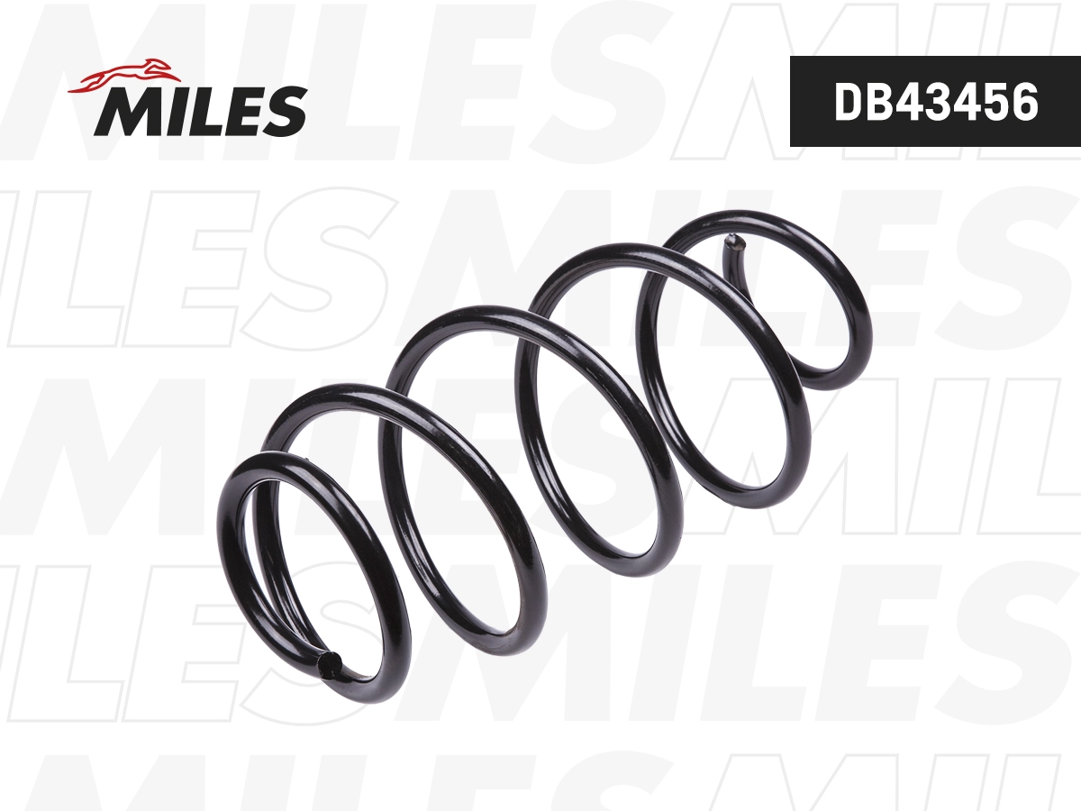 Suspension Spring (DB43456)