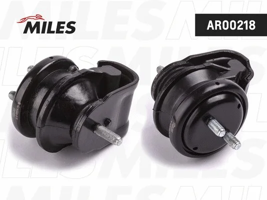 Mounting, engine (AR00218)