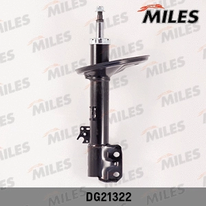 Shock Absorber (DG21322)