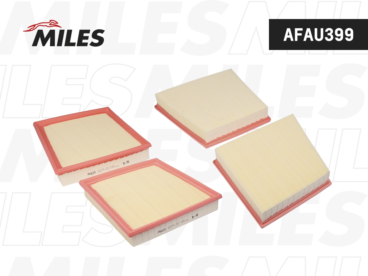 Air Filter (AFAU399)