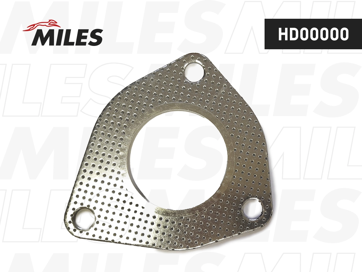 Gasket, exhaust pipe (HD00000)