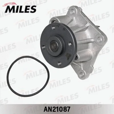 Water Pump, engine cooling (AN21087)