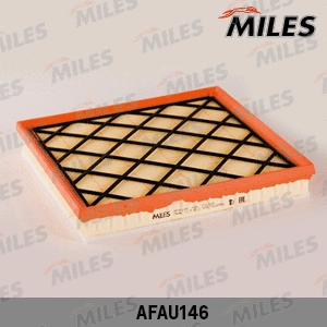 Air Filter (AFAU146)