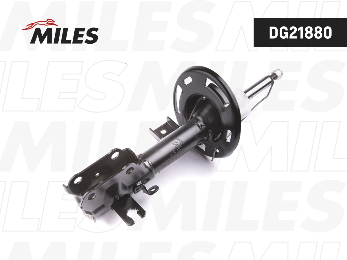 Shock Absorber (DG21880)