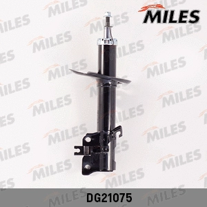 Shock Absorber (DG21075)