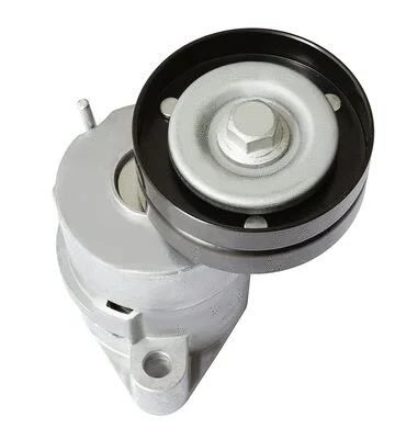 Tensioner Lever, V-ribbed belt (AG00146)