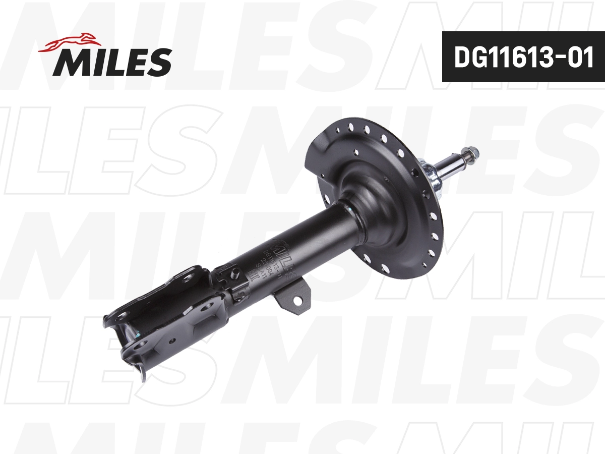 Shock Absorber (DG11613-01)