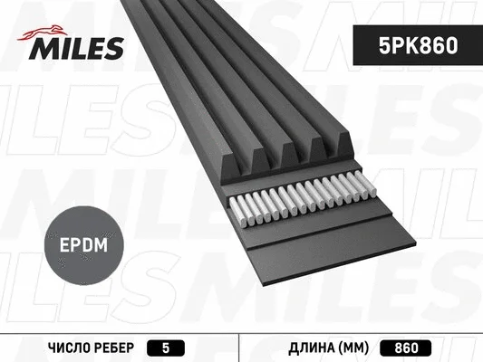 V-Ribbed Belt (5PK860)