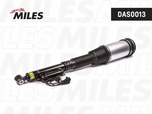 Air Suspension Strut (DAS0013)