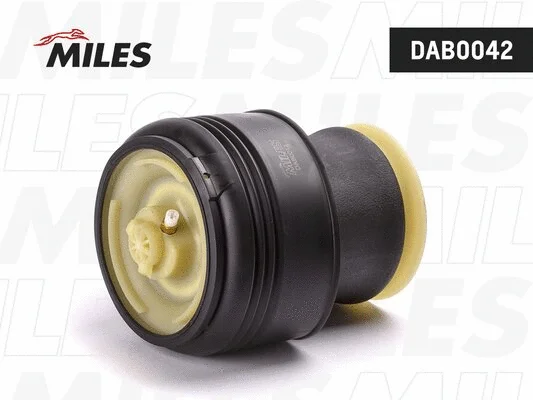 Air Spring, suspension