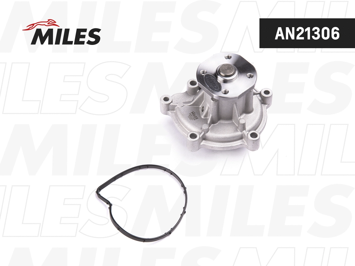 Water Pump, engine cooling (AN21306)