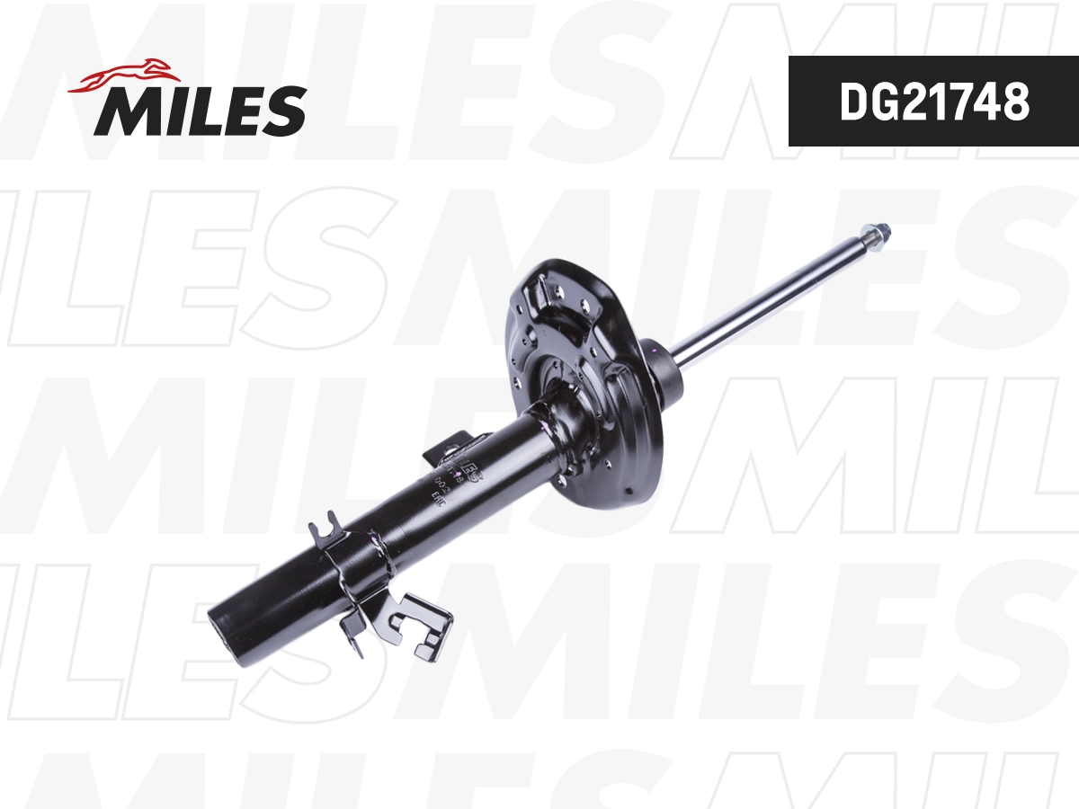 Shock Absorber (DG21748)