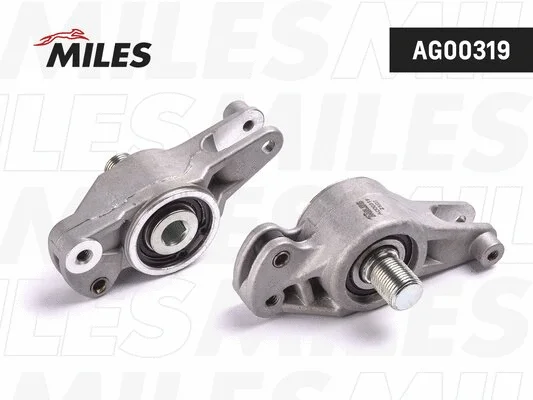 Tensioner Lever, V-ribbed belt (AG00319)