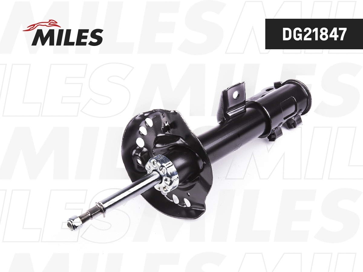 Shock Absorber (DG21847)