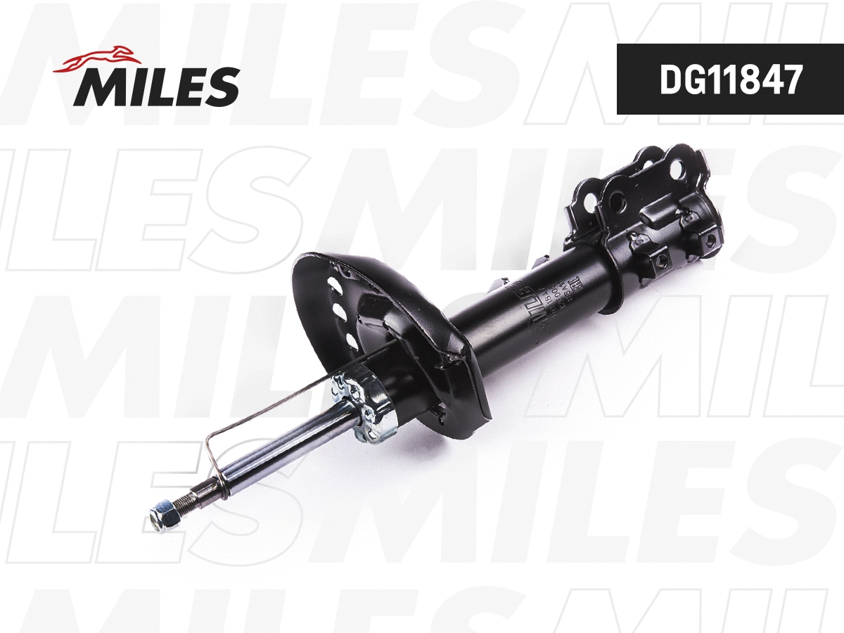 Shock Absorber (DG11847)