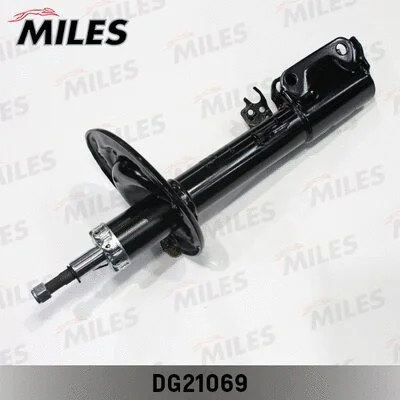 Shock Absorber (DG21069)