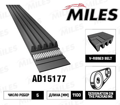 V-Ribbed Belt (AD15177)