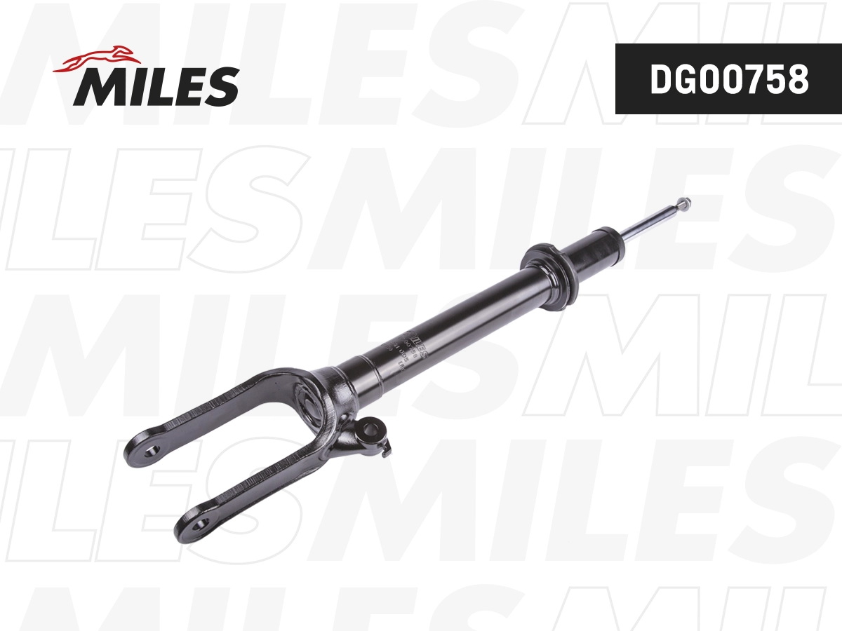 Shock Absorber (DG00758)