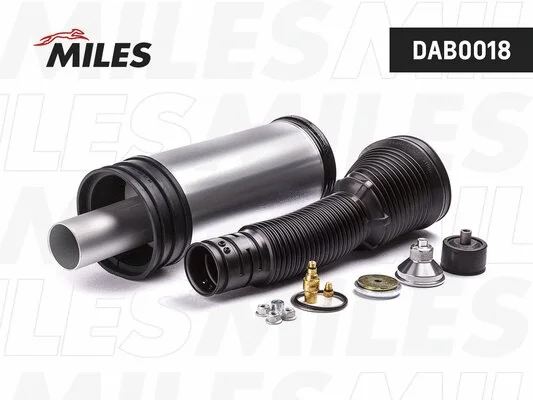 Air Suspension Strut (DAB0018)