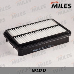 Air Filter (AFAI213)