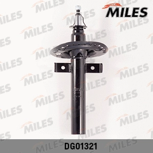 Shock Absorber (DG01321)
