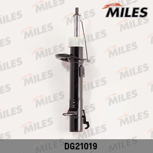 Shock Absorber (DG21019)