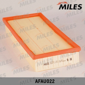 Air Filter (AFAU022)