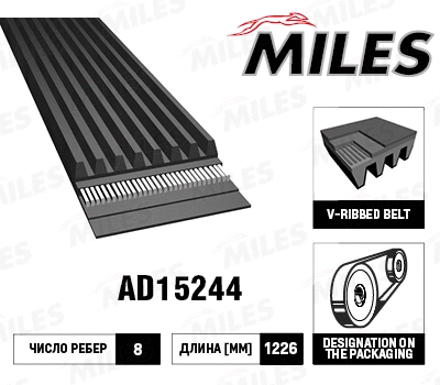 V-Ribbed Belt (AD15244)