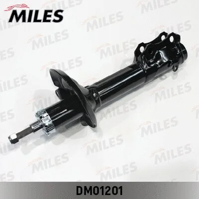 Shock Absorber (DM01201)