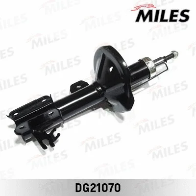 Shock Absorber (DG21070)