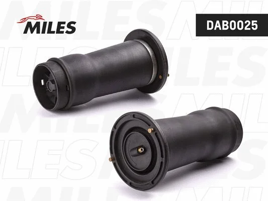 Air Spring, suspension (DAB0025)