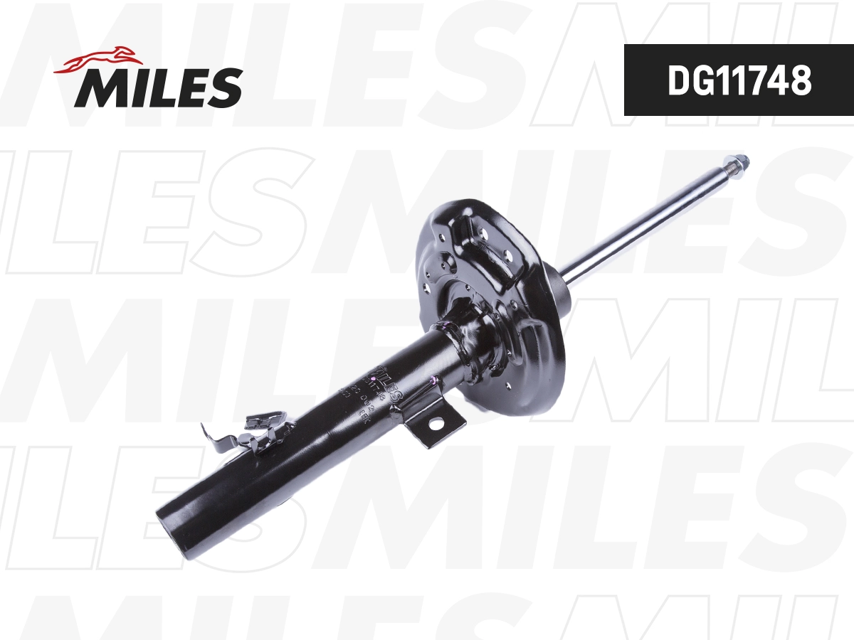 Shock Absorber (DG11748)