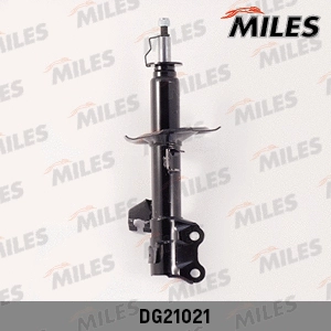 Shock Absorber (DG21021)