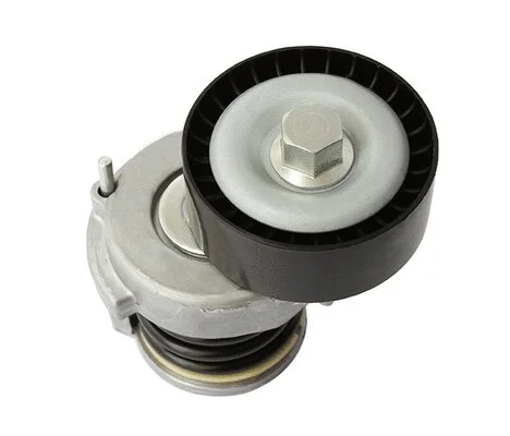 Tensioner Lever, V-ribbed belt (AG00293)