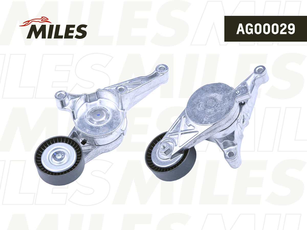 Tensioner Lever, V-ribbed belt (AG00029)