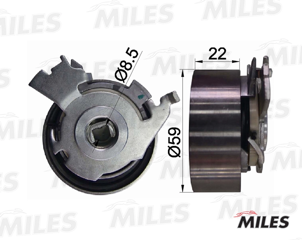 Tensioner Pulley, timing belt