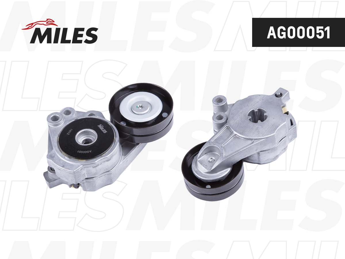 Tensioner Lever, V-ribbed belt (AG00051)