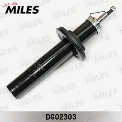 Shock Absorber (DG02303)