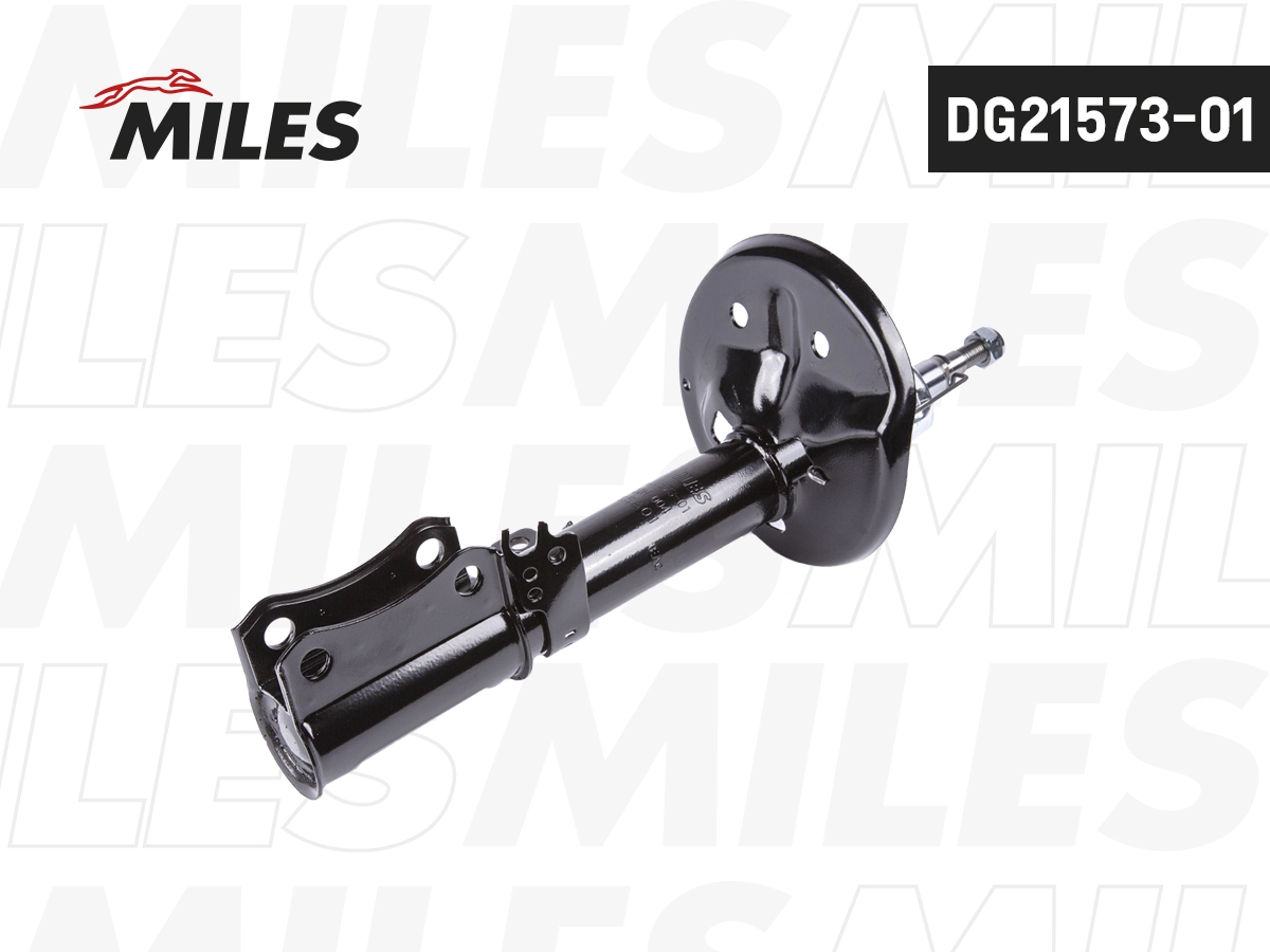 Shock Absorber (DG21573-01)