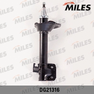 Shock Absorber (DG21316)
