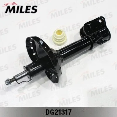 Shock Absorber (DG21317)