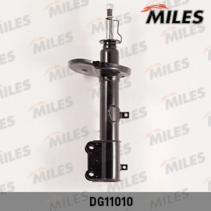 Shock Absorber (DG11010)