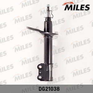 Shock Absorber (DG21038)
