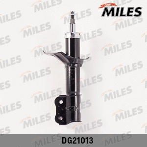 Shock Absorber (DG21013)
