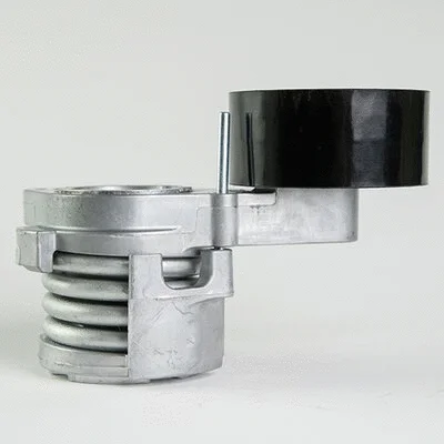 Tensioner Lever, V-ribbed belt (AG00018)