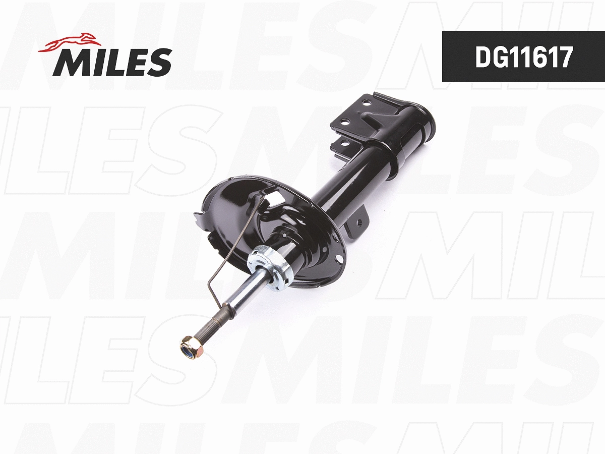 Shock Absorber (DG11617)