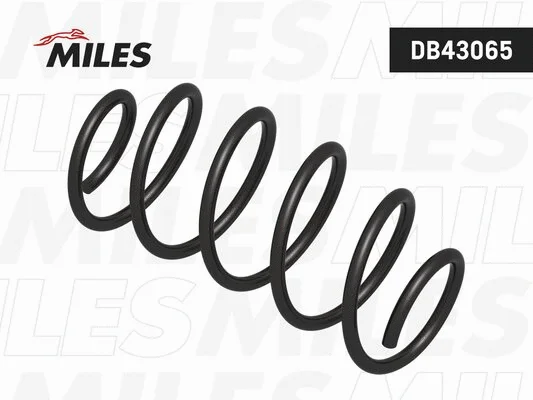 Suspension Spring (DB43065)